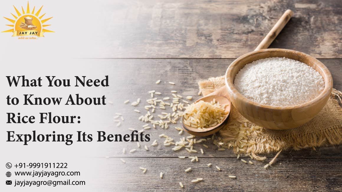 Wheat Flour Suppliers